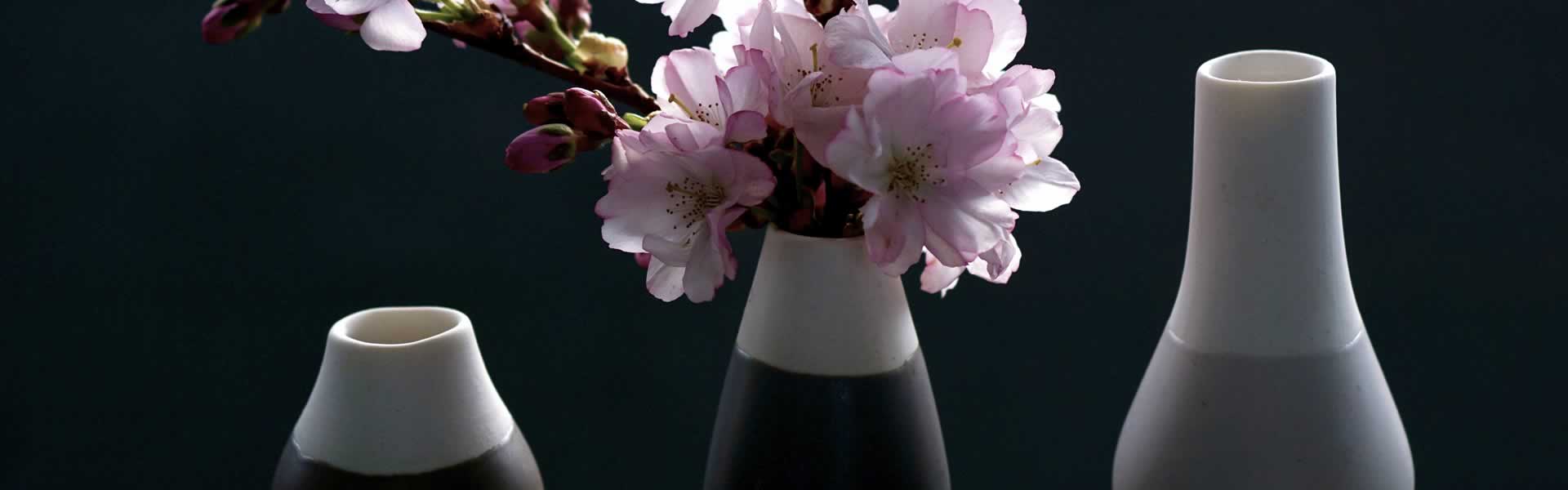 Cremazione e dispersione ceneri Arezzo